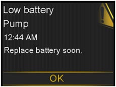 Low battery pump screen