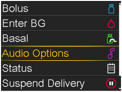 Select Audio Options screen
