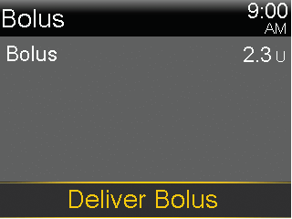 Deliver Bolus screen