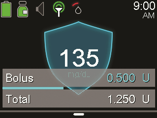 Bolus delivery progress screen