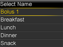 Preset Bolus Add Edit