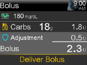 Select Bolus screen