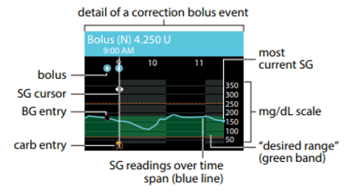 Detail of a correction bolus screen