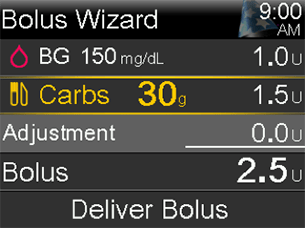 Bolus wizard screen