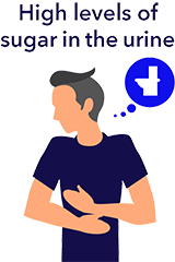 High levels of sugar in the urine