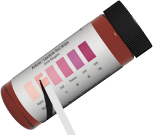 Checking for ketones