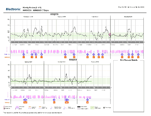 Weekly Review Report