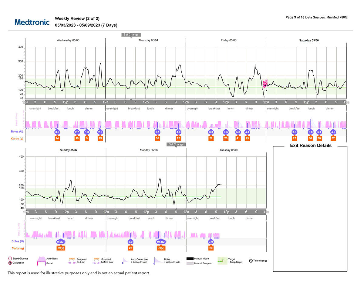 Weekly Review Report