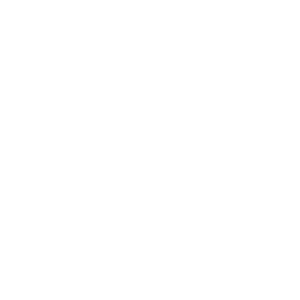 Customizable notifications