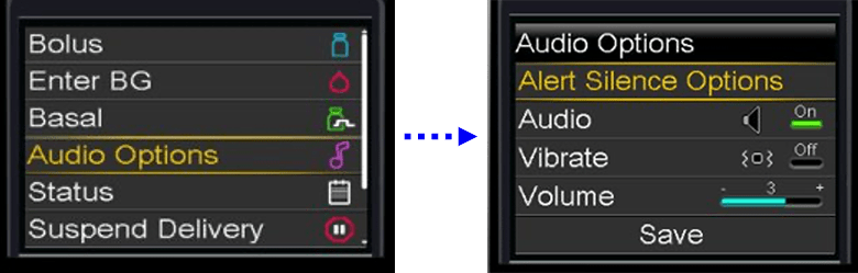 screenshot of audio options