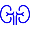 Icon kidney damage