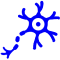 Icon nerve damage