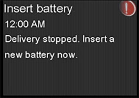 Sample screen image of Insert battery alarm