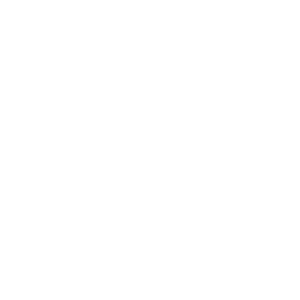 insulin pump monthly payment icon