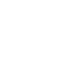 Icon brain