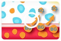 Blood Glucose and Sensor Glucose:
What’s The Difference?