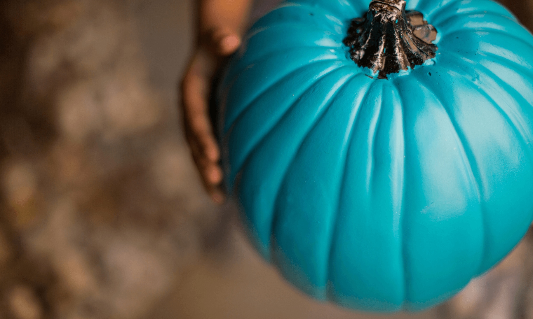 Teal pumpkin