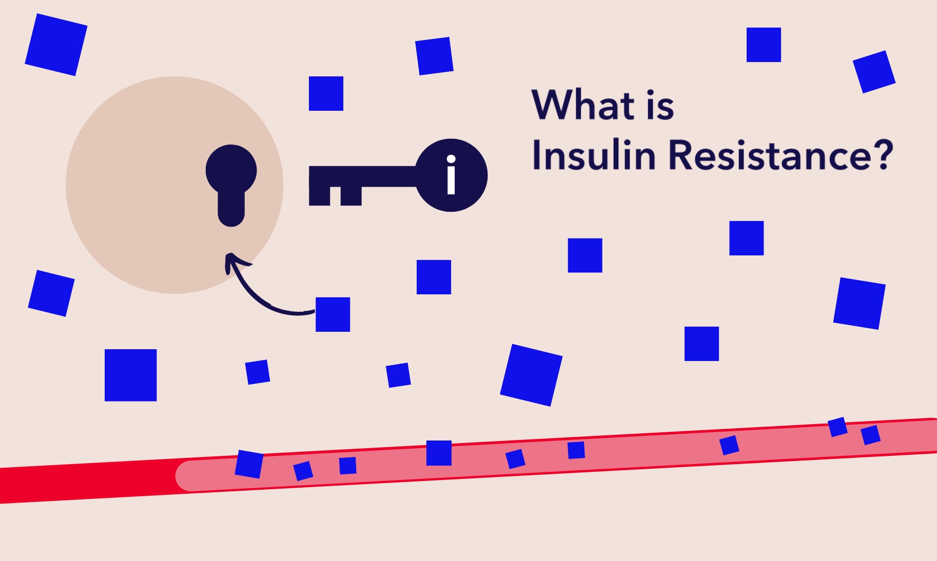 Insulin resistance